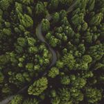 Profile Picture of Steven Muse (@wanderbirddroneworks) on Instagram