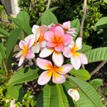 Profile Picture of Paula Berkley (@paulabbbb) on Instagram