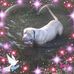 Profile Picture of Peter Duca (@peter.duca.50) on Facebook