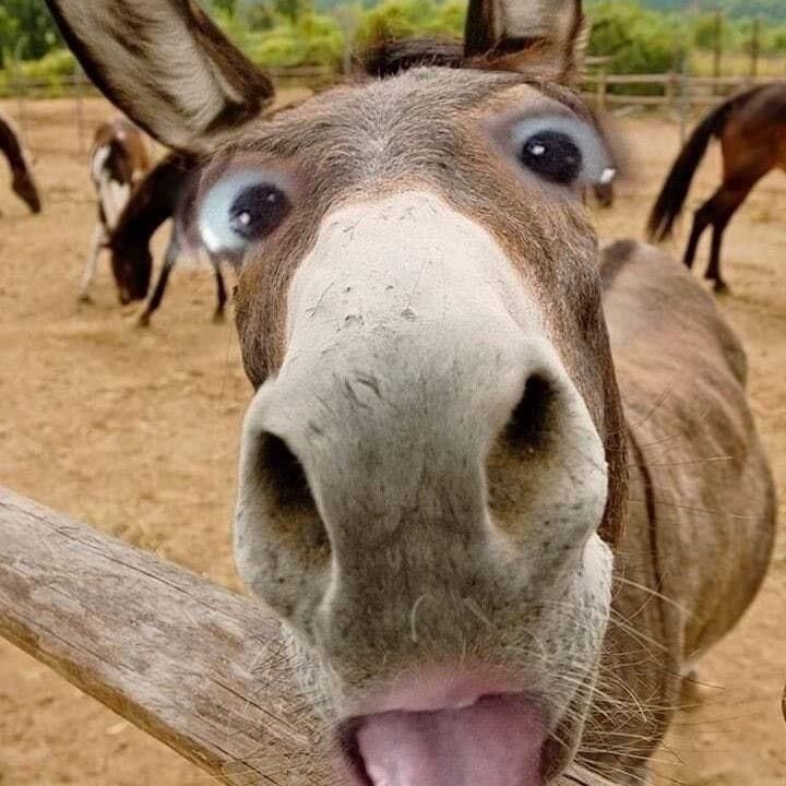 Profile Picture of Bianca Silverio (@yolanditaaaaa_01) on Tiktok