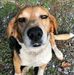 Profile Picture of Beth Mackey (@beth.mackey.581) on Facebook