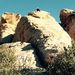 Profile Picture of Brian Belger (@brianbelger) on Pinterest