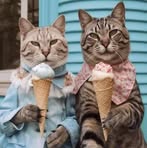 Profile Picture of Tarzan Hok (@Tarzan-Hok) on Facebook