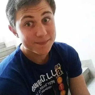 Profile Picture of David Hertl (@OnerixHS) on Twitter