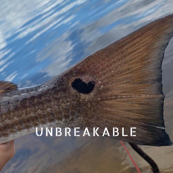 Profile Picture of Lauren Braukman (@lbogie88) on Poshmark