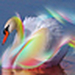 Profile Picture of Snehal Patel (@snehal j patel) on Flickr