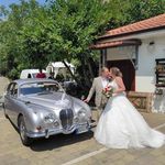 Profile Picture of Giuseppina Muggeo Bates (@muggeobates) on Instagram