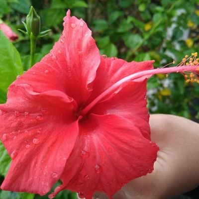 Profile Picture of Yeonhee__kim (@yeonheekim7) on Twitter