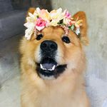 Profile Picture of Athena Nunes (@athenanunes2) on Instagram