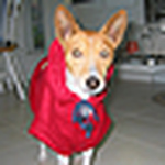 Profile Picture of Other Dave (@other dave) on Flickr