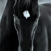 Profile Picture of Belhocine Lakhdar (Université) (@lakhdarbel7510) on Youtube