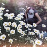 Profile Picture of nicole batchelor (@dovedog) on Instagram