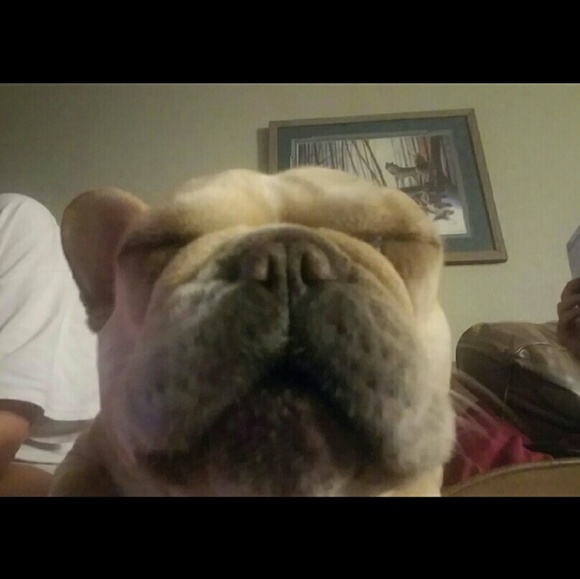 Profile Picture of Heather Clouse (@heatherlilyrose) on Poshmark