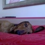 Profile Picture of Fernando Luis Roig Balaguer (@fernandoluisroig) on Instagram