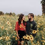 Profile Picture of Lauren Shepard (@lo_shepard) on Instagram
