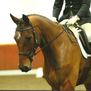 Profile Picture of Hazel Boxall (@hboxall1) on Facebook