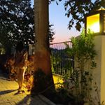 Profile Picture of Latika (@latika.jain87) on Instagram