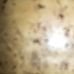 Profile Picture of Kallicharran Kallicharran (@kallicharran.kallicharran) on Facebook