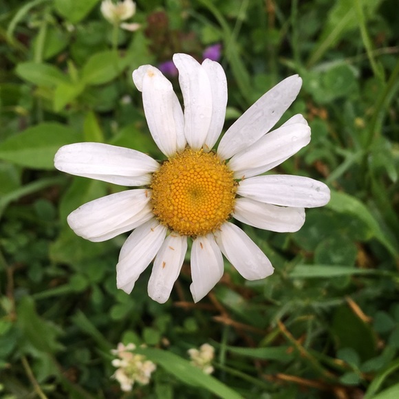 Profile Picture of Delaney Edwards (@delaneaustin) on Poshmark