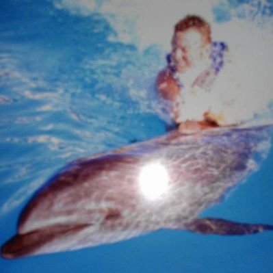 Nathan Grice - Twitter Profile Picture of Nathan Grice (@grice_nathan) on Twitter