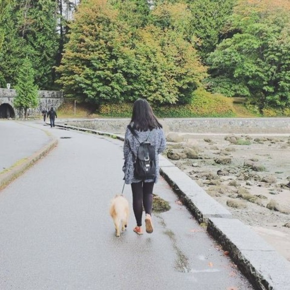 Profile Picture of Cindy Huang (@cindyhuang155) on Poshmark