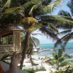 Profile Picture of Jodi McMahon (@jodi1mcmahon) on Instagram