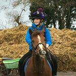 ♡Phoebe Francis♡ - Instagram Profile Picture of ♡Phoebe Francis♡ (@_louie.equestrian_) on Instagram