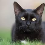 Profile Picture of Annia Dupre (@jaz.rojas.9026) on Facebook