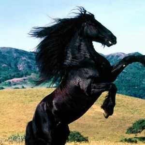 Profile Picture of Alvaro Hidalgo (@corchado_05) on Myspace