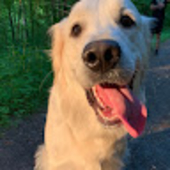 Profile Picture of Jesse Schulkins (@beanboyshop42) on Poshmark