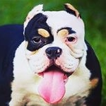 Bobby Wilson - Instagram Profile Picture of Bobby Wilson (@bobbywilson898) on Instagram