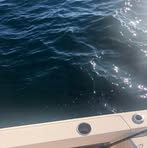 Profile Picture of Kenny Wichman (@kenny.wichman.547) on Facebook