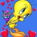 Profile Picture of Genny Rosolen (@rosolengenny) on Instagram