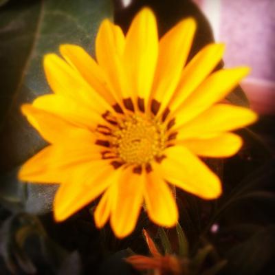 Profile Picture of Philip Poole (@heartystarli24) on Twitter