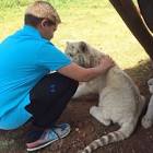 Profile Picture of   Youssef Awad (@youssefawad)... (@youssefawad) on Tiktok