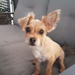 Profile Picture of Cory Michael Gabryluk (@corygabryluk) on Instagram