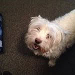 Profile Picture of Julia Cooper (@cooper_julia) on Instagram