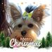 Profile Picture of Lourdes Gilder (Lourdes García Alvarez) (@adam.lane.125) on Facebook