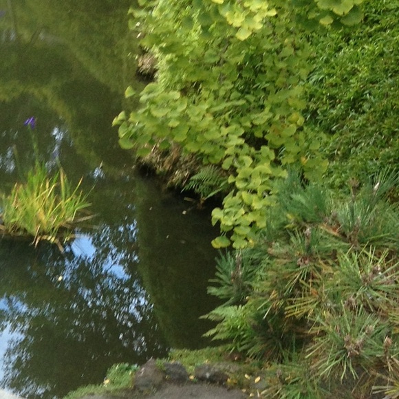 Profile Picture of Klc Lions (@klc_lions) on Poshmark