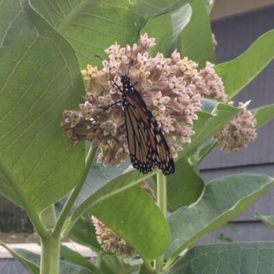 Profile Picture of Jason Donahue (@jayman429) on Twitter
