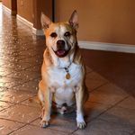 Profile Picture of Blake Thomason (@thomasonblake) on Instagram