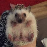 Profile Picture of Michaela Hogan (@michihogan) on Instagram