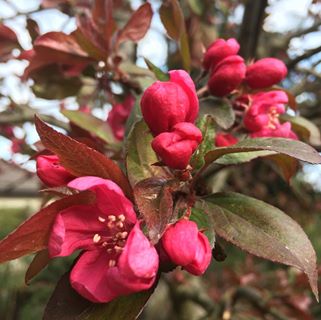 Profile Picture of Sylwia Marecka (@sylwia.marecka.94) on Facebook