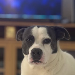 Luke Allmond - Instagram Profile Picture of Luke Allmond (@lukeallmond) on Instagram