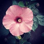 Profile Picture of Lovelin Louis Rego (@lovelinrego) on Instagram