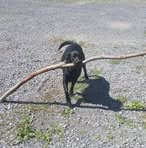 Jeffrey Olds - Facebook Profile Picture of Jeffrey Olds (@jeffrey.olds.54) on Facebook