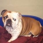 Profile Picture of Jane Alison Pryor (@pryorjane) on Instagram