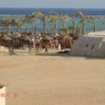 Profile Picture of Roberta Mairani (@robertamairani) on Instagram