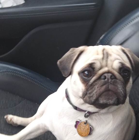 Profile Picture of Tammy Griffin (@bernet) on Poshmark