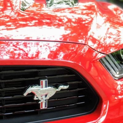 Profile Picture of Michael Whitesides (@Minimania79) on Twitter